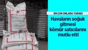 Havaların soğuk gitmesi kömür satıcılarını mutlu etti