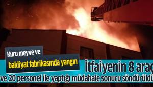 Kuru meyve ve bakliyat fabrikasında yangın