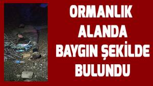 Ormanlık alanda kurtarma ekipleri tarafından baygın şekilde bulundu