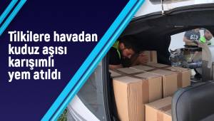 Tilkilere havadan kuduz aşısı karışımlı yem atıldı