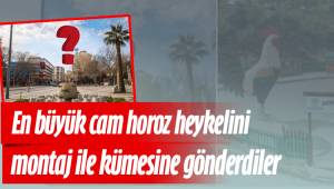 Türkiye'nin en büyük cam horoz heykelini montaj ile kümesine gönderdiler