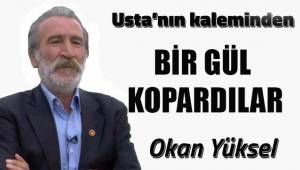 Bir Gül Kopardılar