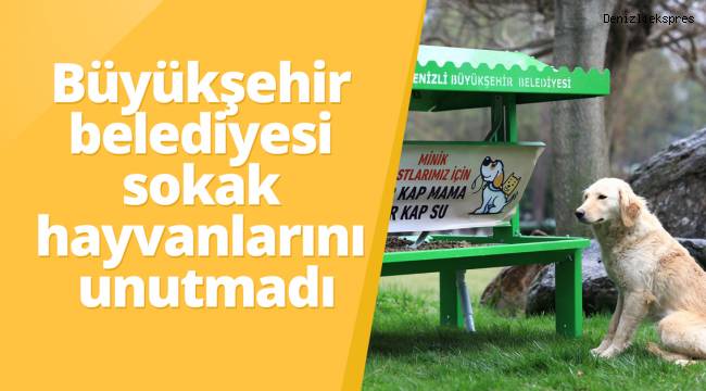 Büyükşehir belediyesi sokak hayvanlarını unutmadı