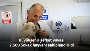 Büyükşehir'in şefkat yuvası