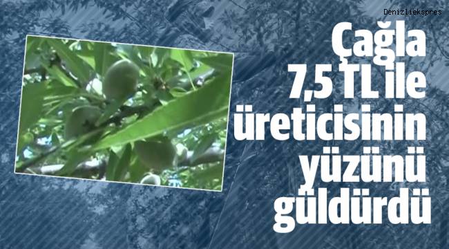 Çağla 7,5 TL'yi bulan satış fiyatı ile üreticisinin yüzünü güldürdü