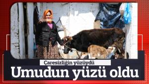 Çaresizliğin yüzüyken, umudun yüzü oldu