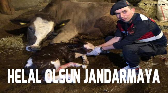 Helal olsun jandarmaya