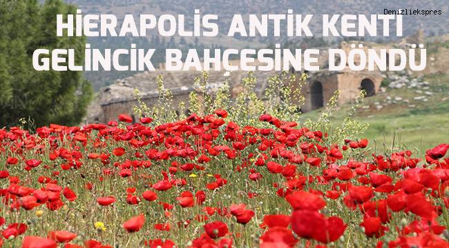Hierapolis Antik Kenti gelincik çiçekleriyle bezendi