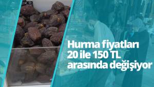 Hurma fiyatları 20 ile 150 TL arasında değişiyor