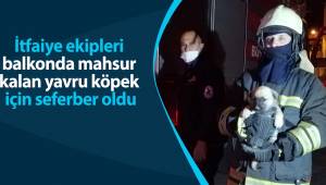 İtfaiye ekipleri balkonda mahsur kalan yavru köpek için seferber oldu
