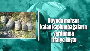 Kuyuda mahsur kalan kaplumbağaların yardımına itfaiye koştu