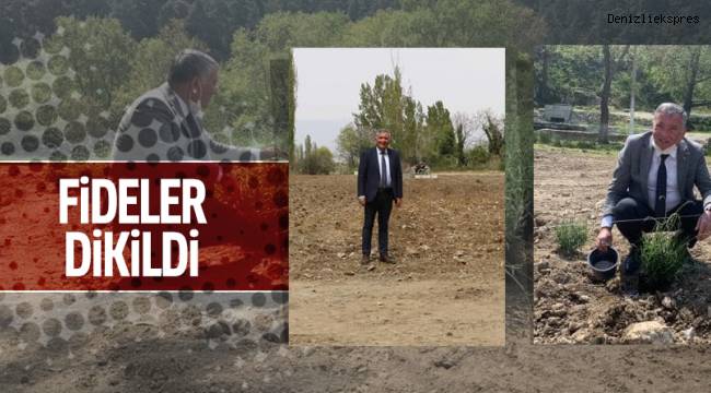 Lavanta Bahçesinde fideler dikildi