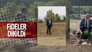 Lavanta Bahçesinde fideler dikildi