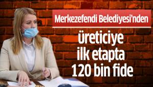 Merkezefendi Belediyesi'nden üreticiye ilk etapta 120 bin adet fide