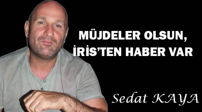 Müjdeler olsun, İris'ten haber var.