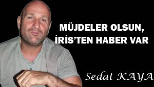 Müjdeler olsun, İris'ten haber var.