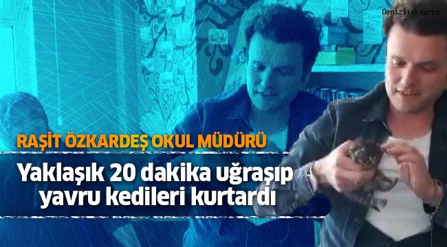 Okul müdürü yaklaşık 20 dakika uğraşıp yavru kedileri kurtardı