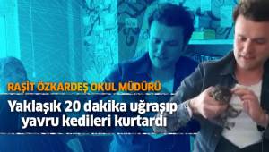 Okul müdürü yaklaşık 20 dakika uğraşıp yavru kedileri kurtardı