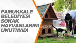 PAMUKKALE BELEDİYESİ SOKAK HAYVANLARINI UNUTMADI