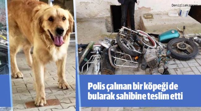 Polis çalınan bir köpeği de bularak sahibine teslim etti