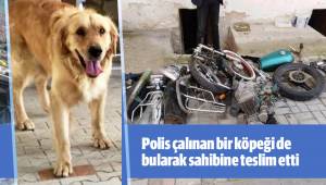 Polis çalınan bir köpeği de bularak sahibine teslim etti