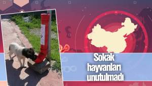 Sokak hayvanları unutulmadı