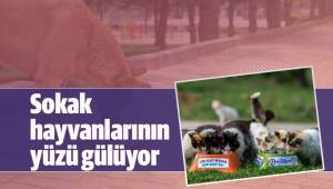Sokak hayvanlarının yüzü gülüyor