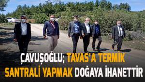 Tavas'a termik santrali yapmak doğaya ihanettir