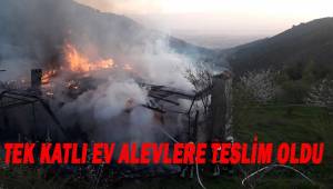 Tek katlı ev alev alev yandı