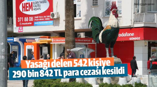 Yasağı delen 542 kişiye 290 bin 842 TL para cezası kesildi
