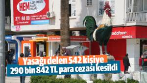 Yasağı delen 542 kişiye 290 bin 842 TL para cezası kesildi