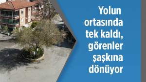 Yolun ortasında tek kaldı, görenler şaşkına dönüyor