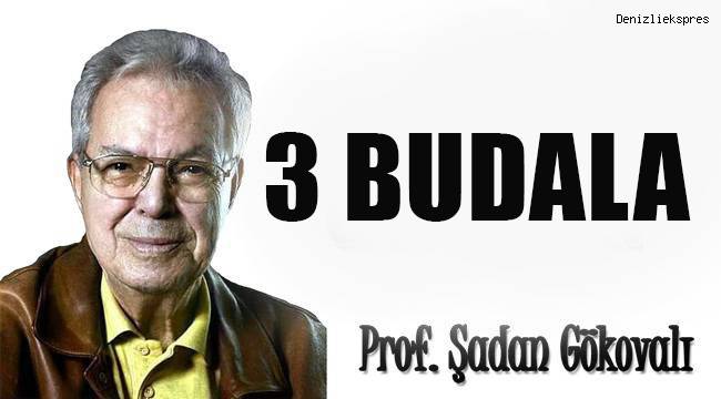 3 Budala