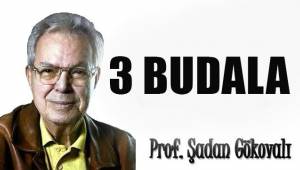 3 Budala