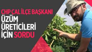 CHP ÇAL İLÇE BAŞKANI ÜZÜM ÜRETİCİLERİ İÇİN SORDU