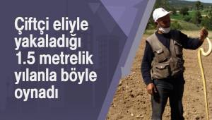 Çiftçi eliyle yakaladığı 1.5 metre uzunluğundaki yılanla böyle oynadı