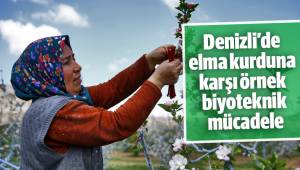 Denizli’de elma kurduna karşı örnek biyoteknik mücadele