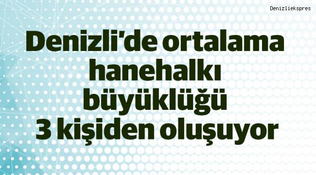 Denizli'de ortalama hanehalkı büyüklüğü 3 kişiden oluşuyor
