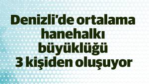 Denizli'de ortalama hanehalkı büyüklüğü 3 kişiden oluşuyor