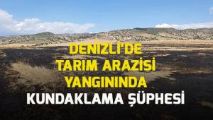 Denizli'de tarım arazisi yangınında kundaklama şüphesi