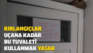 Denizli'deki cami avlusunda kırlangıçlar uçana kadar tuvalete girmek yasak