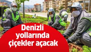 Denizli yollarında çiçekler açacak