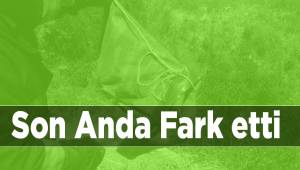 Dikkatli sürücü motor bölümüne giren yılanı son anda fark etti