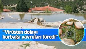 Dünyaca ünlü kırmızı su, artık kurbağa yavrularının