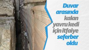Duvar arasında kalan yavru kedi için itfaiye seferber oldu