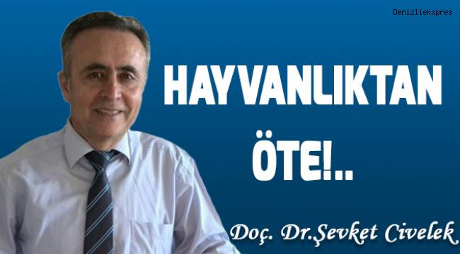 HAYVANLIKTAN ÖTE!