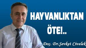 HAYVANLIKTAN ÖTE!