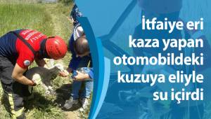İtfaiye eri kaza yapan otomobildeki kuzuya eliyle su içirdi