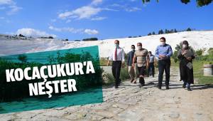 KOCAÇUKUR’A NEŞTER
