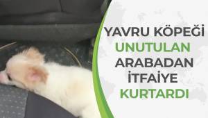 Otomobilde mahsur kalan yavru köpeği itfaiye kurtardı